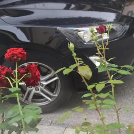 Gracehomes - Garage, Ventilator, Free Coffee, Airport, Messe, Stuttgart, Wifi Up To 6 Guests דירה