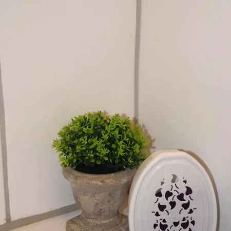 Appartement Gracehomes - Garage, Ventilator, Free Coffee, Airport, Messe, Stuttgart, Wifi Up To 6 Guests